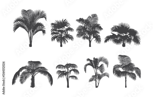 palm tree silhouettes