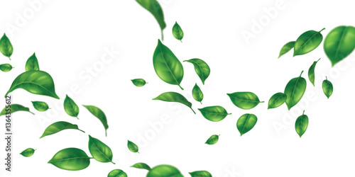 Realistic green leaves falling or flying through air. Vivid foliage elements, spring or summer greenery clipart, nature leaf overlay pattern texture. Fresh floral design, eco friendly wallpaper.
