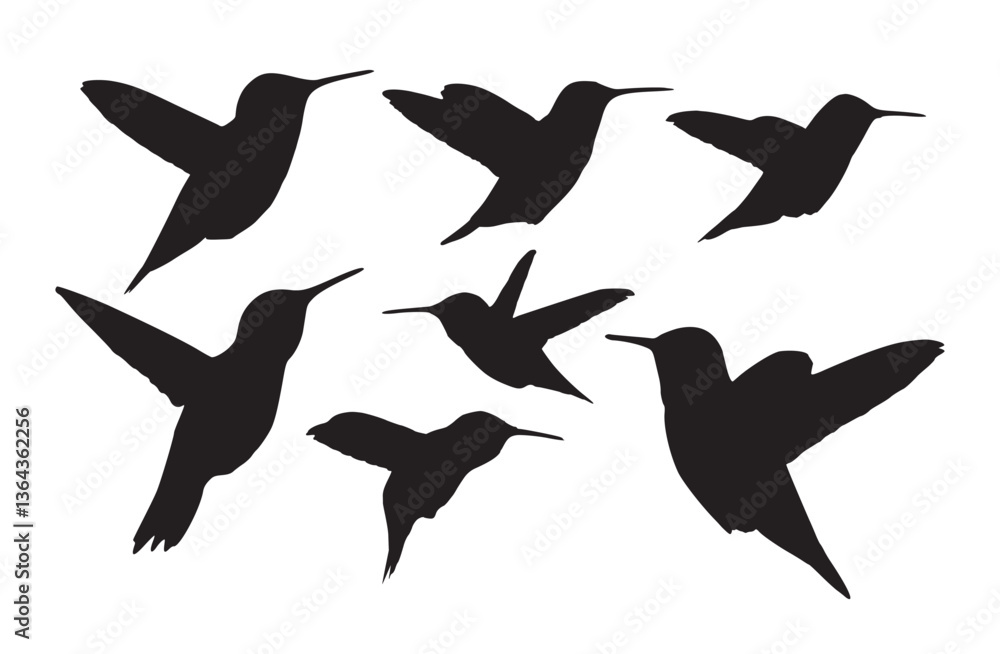 Fototapeta premium hummingbird silhouette