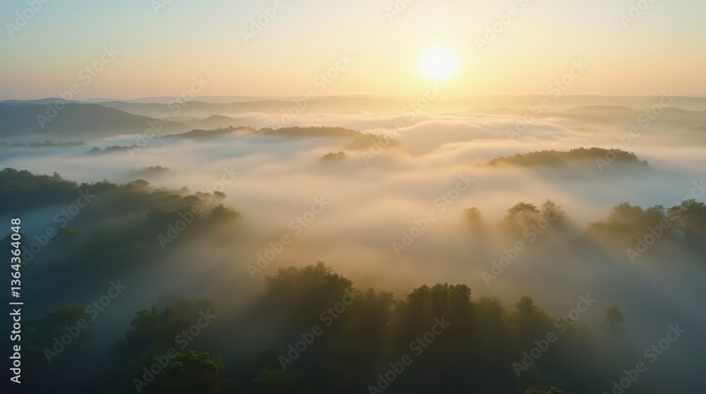 An aerial view of rolling hills covered in dense mist, with tree tops peeking through the fog and soft golden sunlight breaking through the clouds An aerial view of rolling hills covered in dense mist, with tree tops peeking through the fog and soft golden sunlight breaking through the clouds