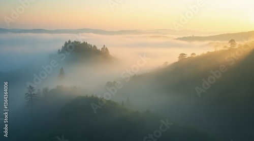 Wallpaper Mural An aerial view of rolling hills covered in dense mist, with tree tops peeking through the fog and soft golden sunlight breaking through the clouds Torontodigital.ca