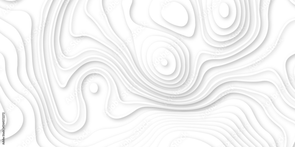 Abstract wavy line 3d paper cut white background. white and gray luxury grid topography map and satin smooth wallpaper matt paper light texture. White waves decorative papercut design. Abstract wavy line 3d paper cut white background. white and gray luxury grid topography map and satin smooth wallpaper matt paper light texture. White waves decorative papercut design.