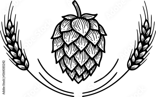 Vector grey hop and barley ear for brewing
