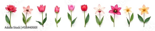 Wallpaper Mural Flat icon set of various garden flowers such as rose, tulip, orchid, and bulb flowers isolated on white background, flower,  isolated Torontodigital.ca