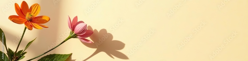 Obraz premium Flower shadows casting on light brown and cream color background wall, elegant, natural