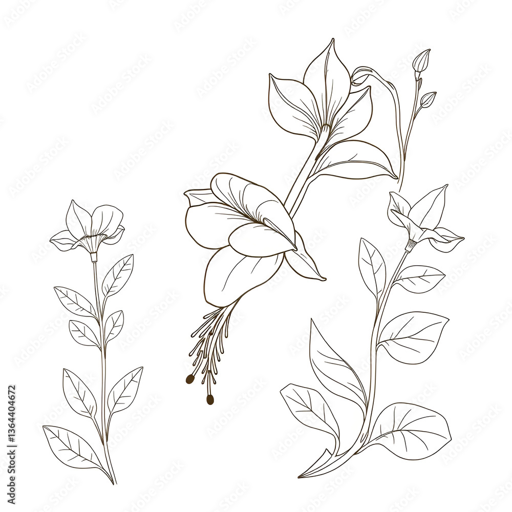Print Snapdragon Flower Botanical Line Art Vector Set for Floral Designs and Illustrations