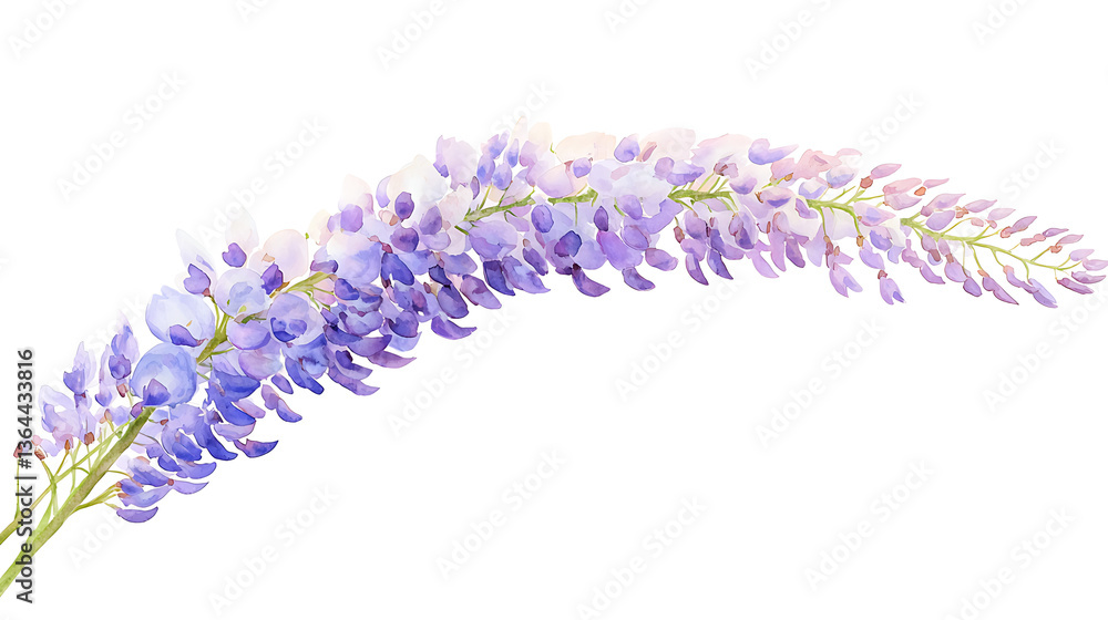 Obraz premium A purple flower with a long stem