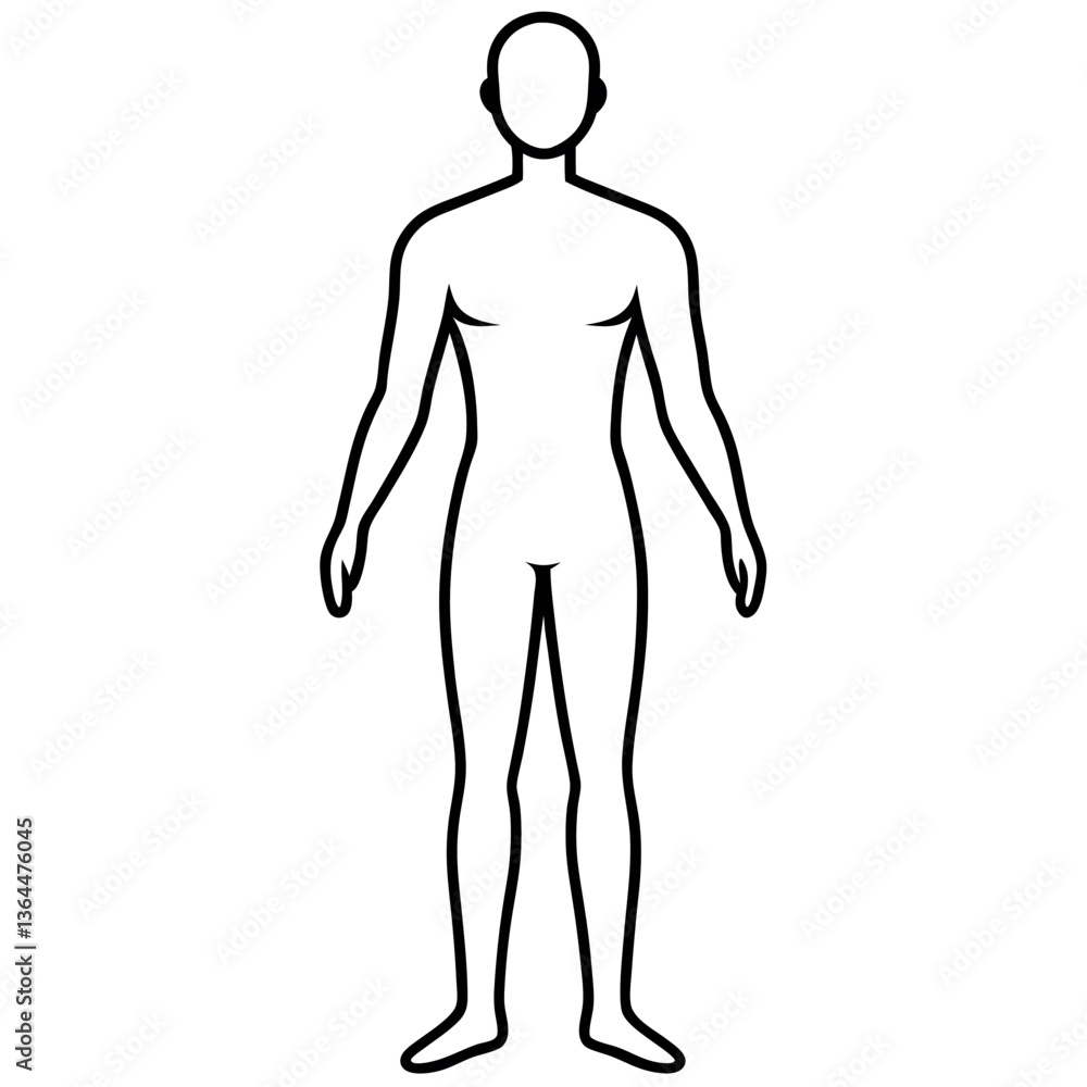 Minimalist body outline in on white background. Minimalist body outline in on white background.