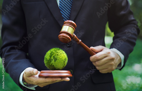 Cuadro en lienzo Law world for environmental regulation, sustainable environment conceptworld