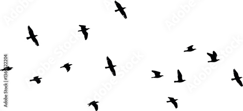 silhouette of a flock of birds vector illustration on a white background.