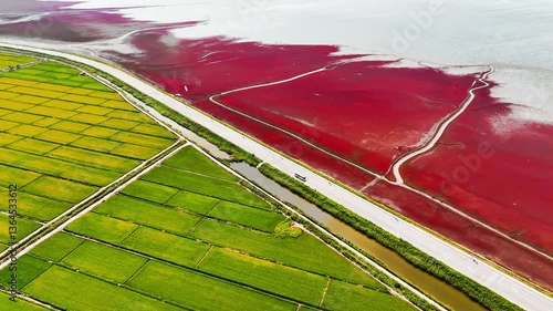 4k Video Panjin Red Beach Showcasing Vibrant Red Green and White Landscapes