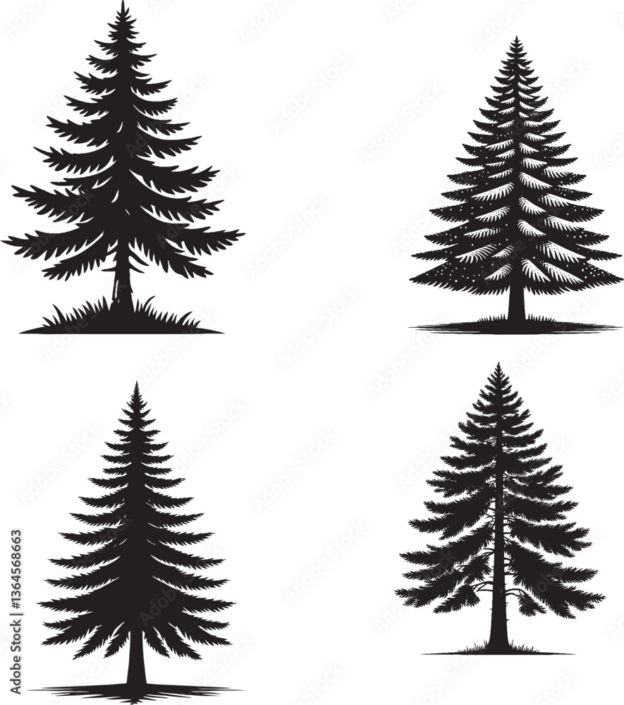 Obraz premium Tall Pine Tree Silhouette | Evergreen Forest Tree Illustration