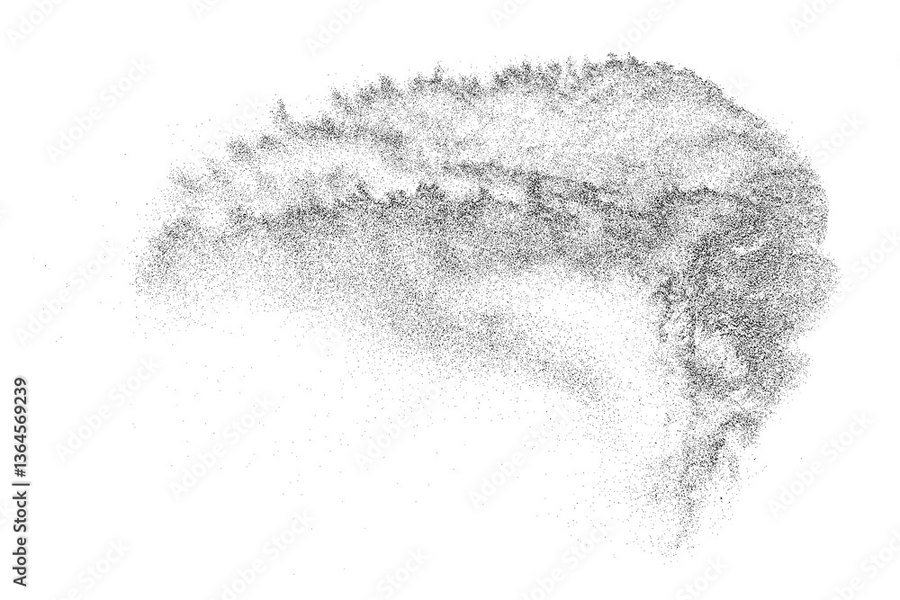 Water texture. Splash effect. Snow overlay. Drops liquid. Grunge pattern. Black explosion on transparent background. PNG format.