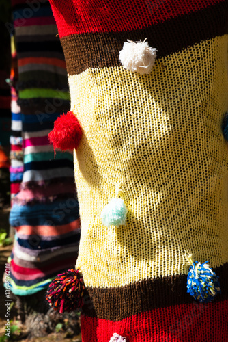 Trees dressed in knitted wool 