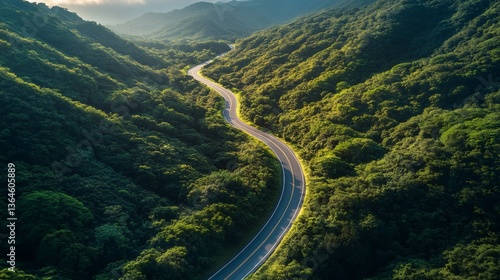 Winding road through lush green forest at sunset, aerial view
