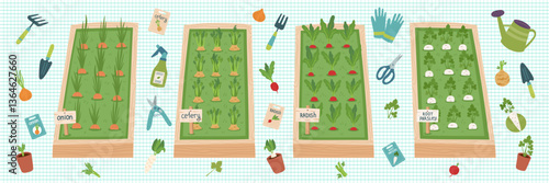 Gardening concept cliparts. Seedbeds with growing root vegetables and garden equipment. Spring and gardening concept. Vector hand drawn elements.