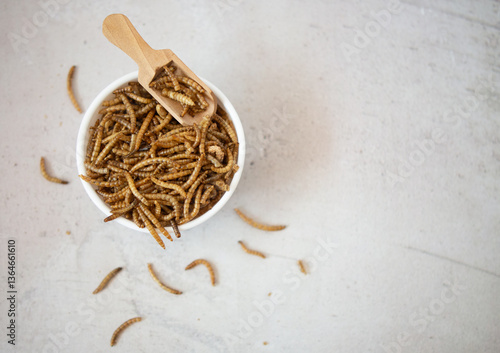 edible mealworms in a wooden spoon and an insect in a bowl on a gray granite table. Tenebrio molitor larvae as protein