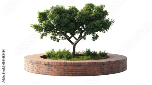 round bench with a tree in the middle on transparent background 