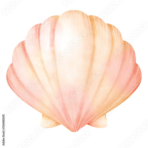 Watercolor Illustration of a Seashell