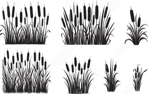 Quadro em tela cattail  silhouette vector set art illustration,