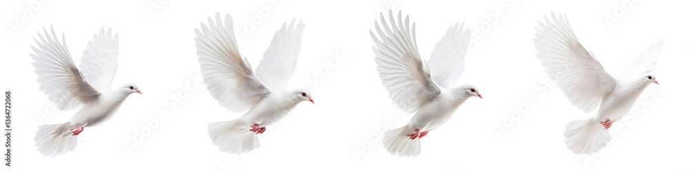 Obraz premium A flock of pristine white doves soaring through the air with their wings outstretched embodying peace freedom and a sense of ethereal beauty