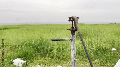 irrigation system in field