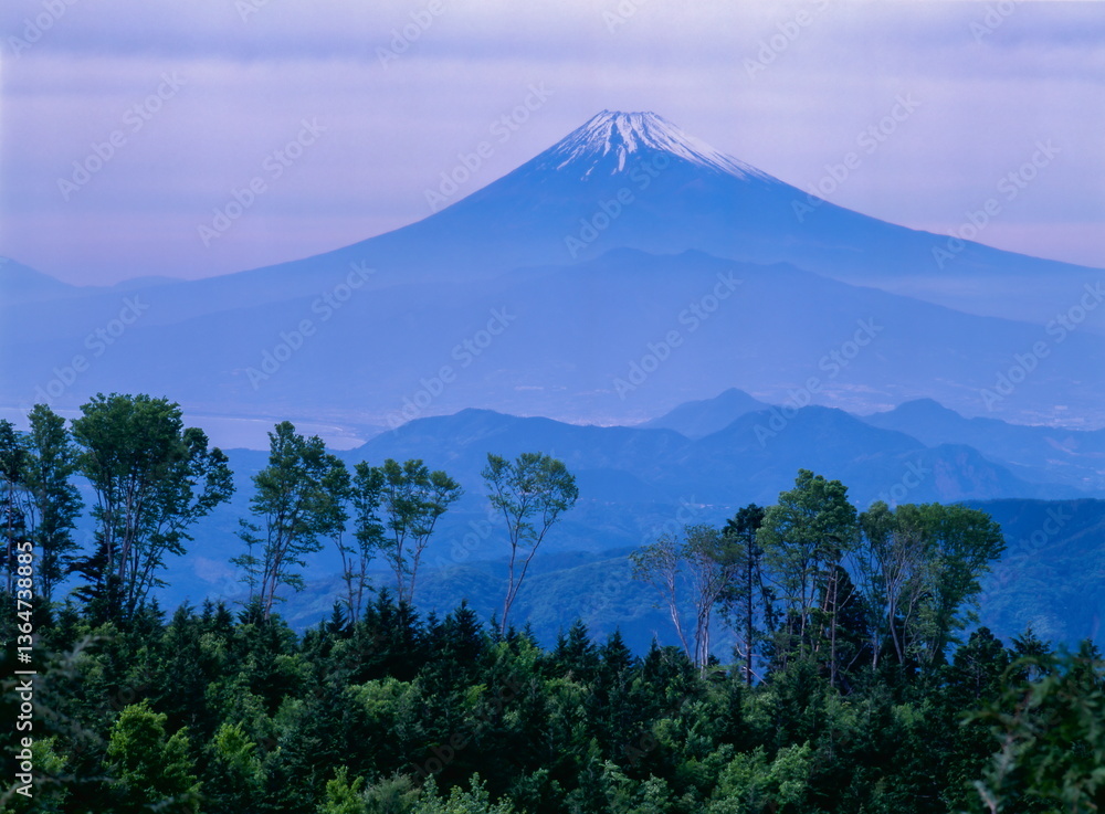 Fototapeta premium 伊豆半島・伊豆市の皮子平から眺める富士山