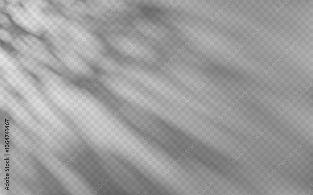 Fototapeta premium Abstract shadow overlay from foliage on a transparent background.