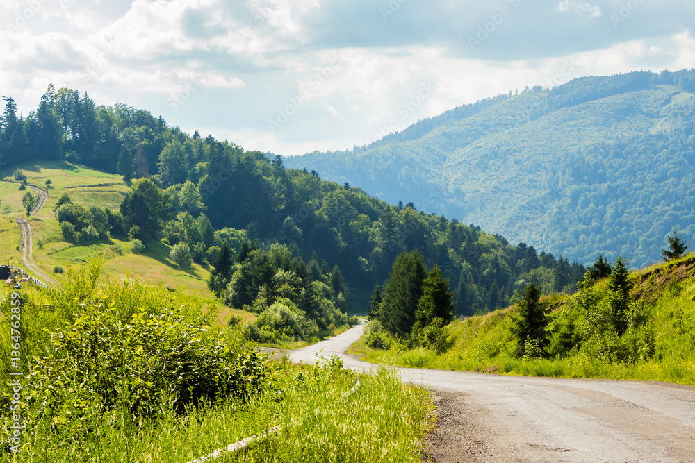 old country road winding through mountainous countryside. rural scenery. wonderful summer landscape. spruce forest along the way. bright sunny weather. travel backcountry concept