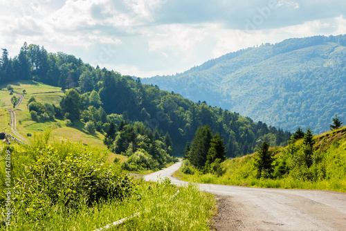 Obraz na płótnie old country road winding through mountainous countryside. rural scenery. wonderful summer landscape. spruce forest along the way. bright sunny weather. travel backcountry concept w salonie