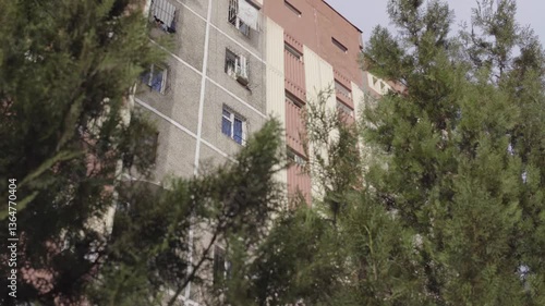 Spring Awakens – Budding Trees and Cityscape Renewal