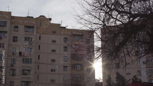 Awakening Spring – Budding Trees and Urban Scenery