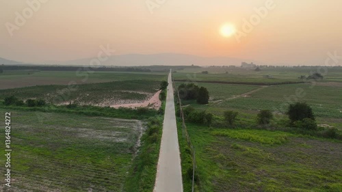 Aerial view of serene landscape with long, straight road winding through lush green fields, showcasing warm sunset on horizon, evoking tranquility and deep connection with nature.