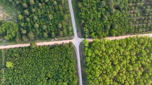 Aerial View of Tranquil Green Forest Landscape with Intersecting Roads and Trees, Showcasing Natures Vibrant Colors and Serenity in Great Outdoors.