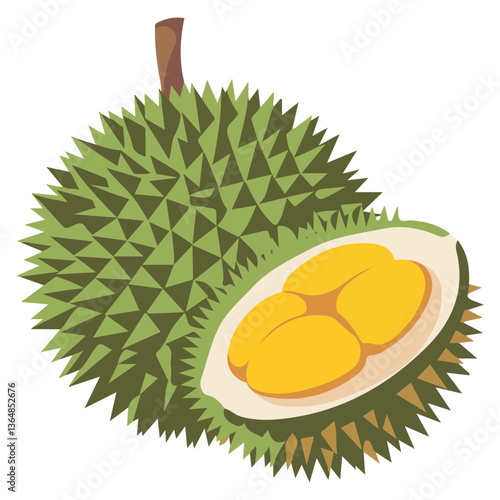 Durian fruit vector