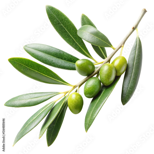 Wallpaper Mural Closeup of a Fresh Olive Branch with Green Olives and Lush Leaves Torontodigital.ca