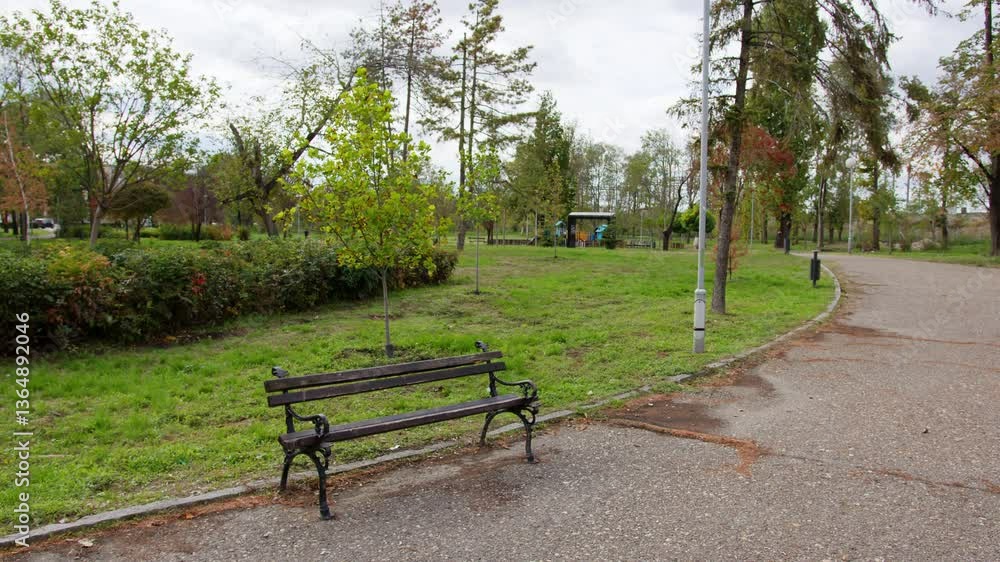 Peaceful green park with a bench under overcast sky showcasing a serene outdoor atmosphere Peaceful green park with a bench under overcast sky showcasing a serene outdoor atmosphere