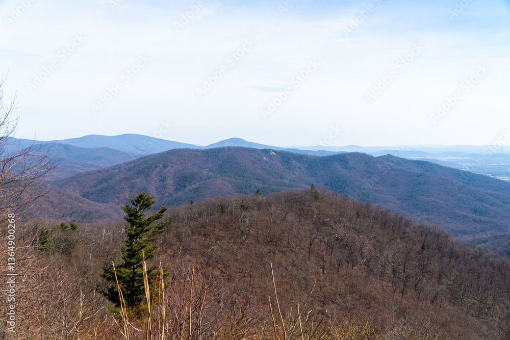 Obraz premium Sunlit Serenity in the Blue Ridge Mountains