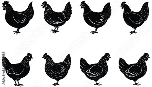 Brooding Hen Vector Shilhouette Bundle Set Collection