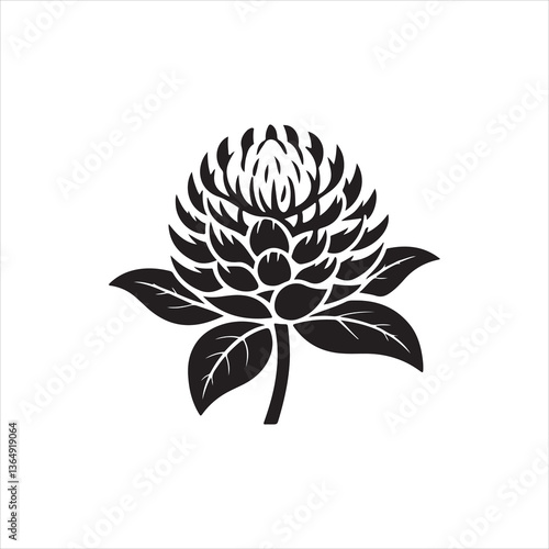 How to Grow and Care for Globe Amaranth Plants