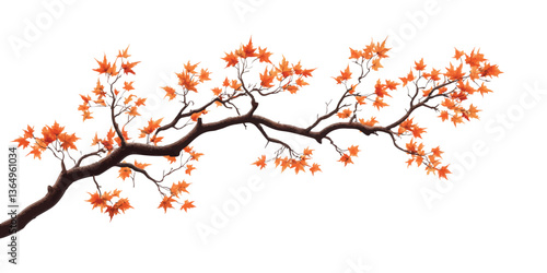 A vector illustrtion tree branch with autumn leaves against a white background