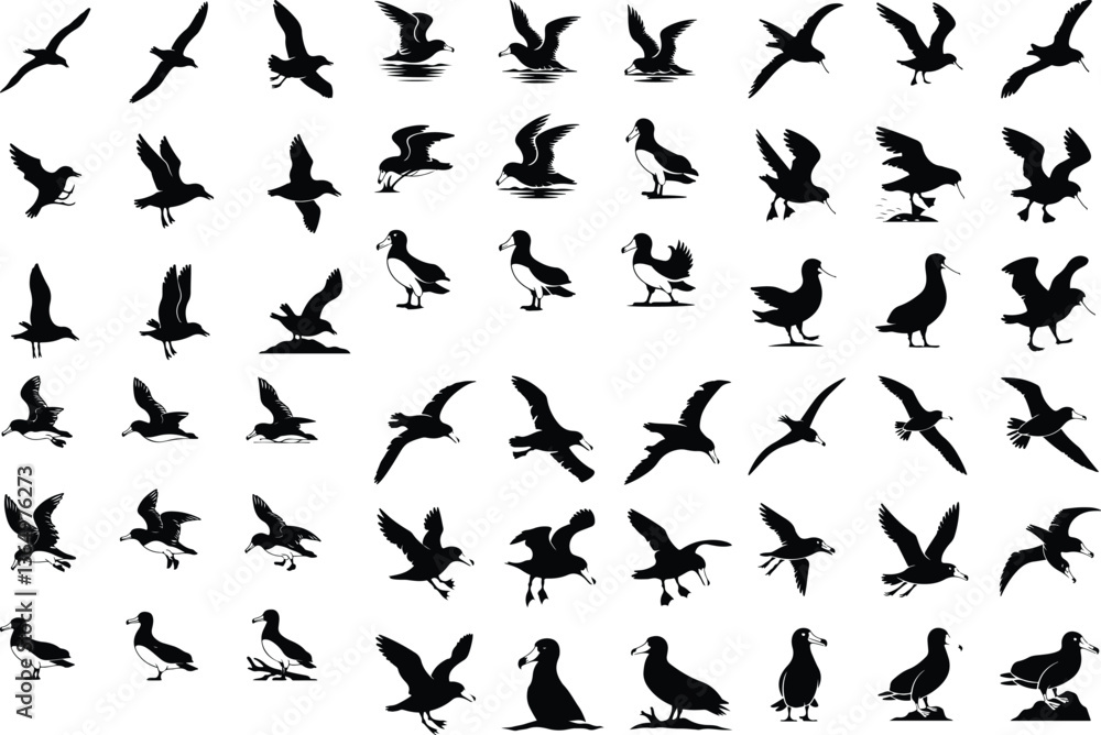 Seagulls Silhouette set consistent albatross black color silhouette vector Set of silhouettes of seagulls in flight. Set of Albatross Birds Silhouette Seagulls Silhouette set consistent albatross black color silhouette vector Set of silhouettes of seagulls in flight. Set of Albatross Birds Silhouette