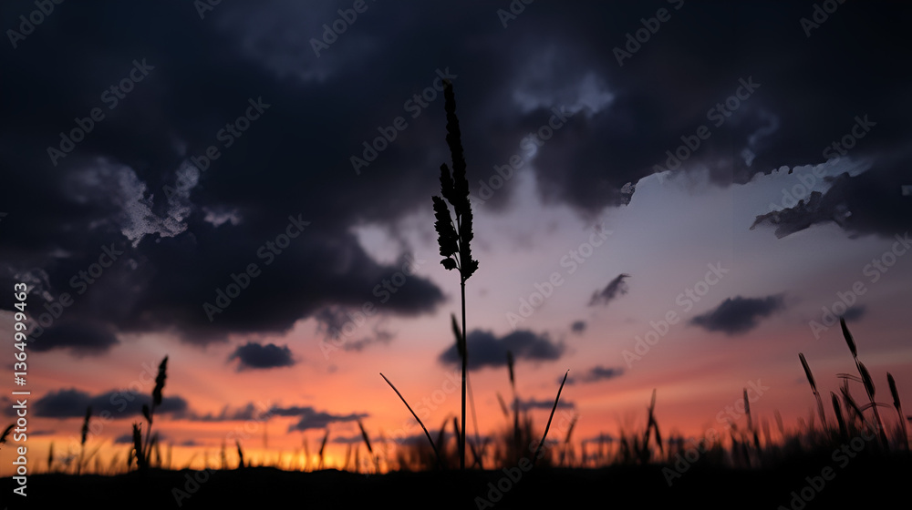 Silhouetted common reed against a dramatic sunset sky with dark clouds creating a serene and moody landscape ambiance. Silhouetted common reed against a dramatic sunset sky with dark clouds creating a serene and moody landscape ambiance.