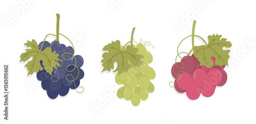 Grape Bunch Vector – Red, Green & Purple Varieties with Leaves for Wine Branding, Recipes & Fruit Market Designs – Editable EPS