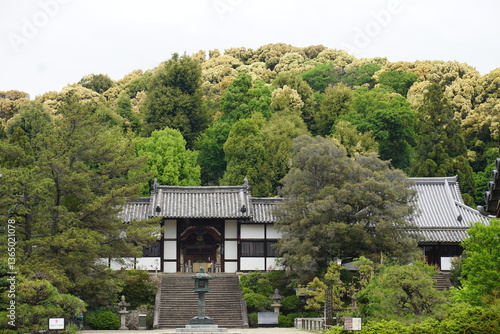 An old shrine in the forest of Japan
