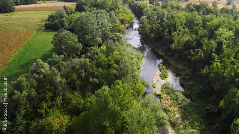 Exploring serene waters and lush forests along a winding river in a tranquil countryside setting Exploring serene waters and lush forests along a winding river in a tranquil countryside setting