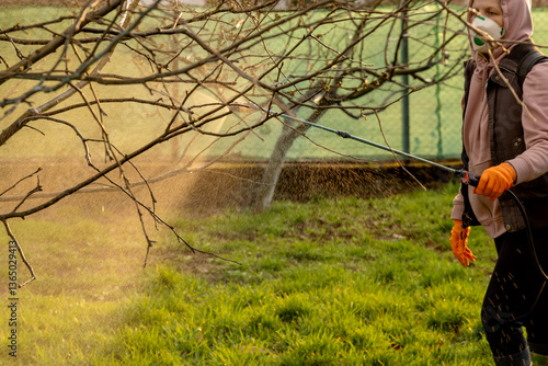 Woman spraying fungicides on a flowering fruit tree against plant and pest diseases. Used rechargeable sprayer with pesticides in the garden.