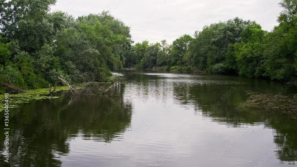 Tranquil river landscape with green foliage and calm waters in summer Tranquil river landscape with green foliage and calm waters in summer