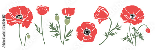 Set of decorative fresh blossoming red poppy flowers with steam and leaves. August birth flower Hand drawn colorful flower icon. Vector cut out illustration clipart isolated 