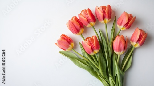 Wallpaper Mural Colorful Fresh Tulip Bouquet on White Background for Spring and Floral Decoration Concepts Torontodigital.ca